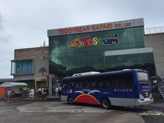 -济州岛泰迪熊博物馆