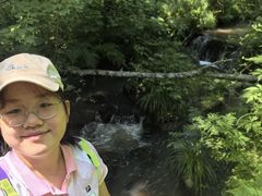 -五营国家森林公园
