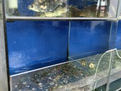 -美味之家·湖景农家乐(太湖东山店)