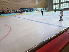 -冰上乐园(大卫城店)