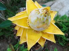 -南通洲际绿博园