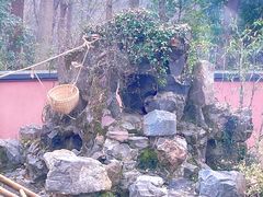 -杭州动物园