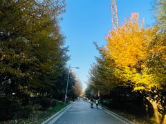 -清凉山国家森林公园