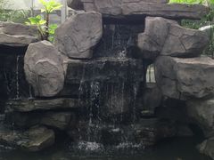 -汤山翠谷生态餐厅