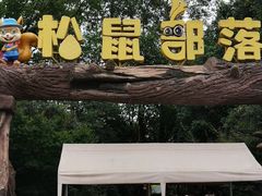 -成都松鼠部落