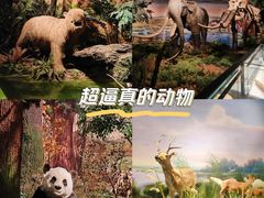 -湖南省地质博物馆