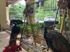 -西双版纳融创皇冠假日度假酒店