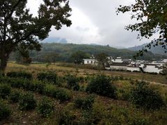 -塔川景区