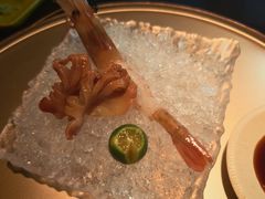 -地球美食剧场