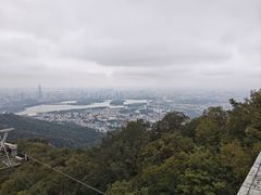 -紫金山山顶公园