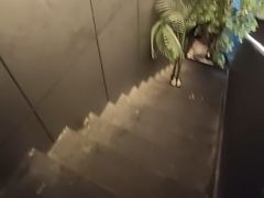 -水秀坊·足道 SPA (巨鹿店)