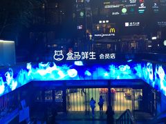 -盒马鲜生(杭州运河上街店)