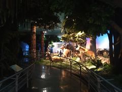 -国家自然博物馆