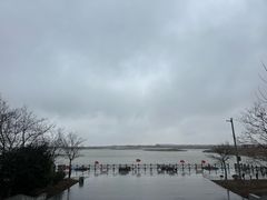 -盐城丹顶鹤湿地生态旅游区