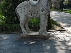 -洛阳白马寺