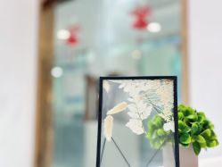 -MIVI野生眉纹绣纹眉