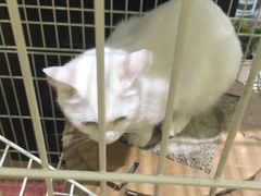 -熊猫邮局(少城店)