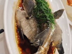 -金华安大酒楼·老牌潮菜·粤式茶点(东方国际店)