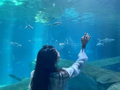 -福州罗源湾海洋世界旅游区