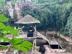 -长鹿旅游休博园