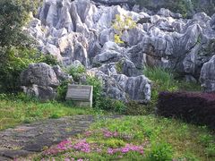 -千岛湖石林