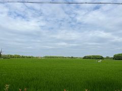 -嘉北郊野公园