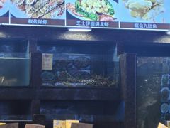 -新金盛·海鲜酒楼(盐田店)