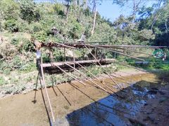 -西双版纳原始森林公园