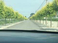 -庞各庄翠芳园西瓜蔬菜基地采摘园