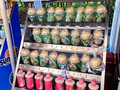 -郑州方特梦幻王国