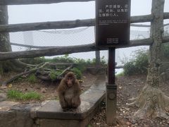 -峨眉山风景名胜区