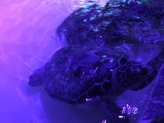 -华夏文旅西安度假区