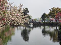 -无锡蠡湖国家湿地公园-蠡园
