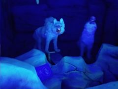-石林冰雪海洋世界