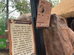 -武汉动物园