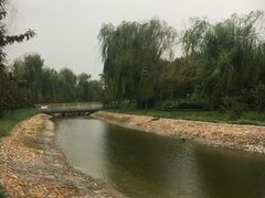 -安阳东站
