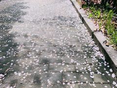 -永乐路-路侧停车场