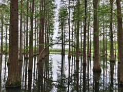 -渌洋湖湿地公园