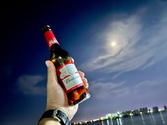 -柳湖沙月沙滩公园