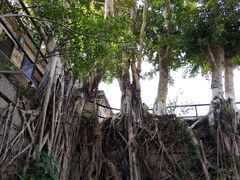 -胡里山炮台