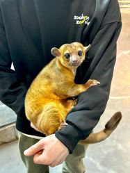 -Zoolung Zoolung动物主题公园(海信广场店)