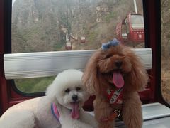 -十渡东湖港风景区