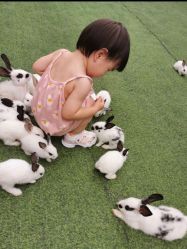 -萌宠亲子动物乐园(槐房万达店)