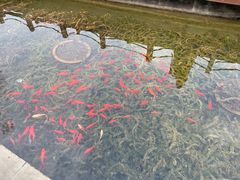 -重庆园博园