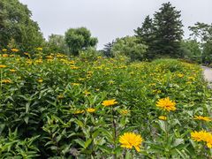 -国家植物园南园