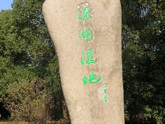 -溱湖国家湿地公园