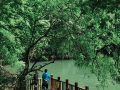 -青龙山国家森林公园
