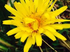 iphone_upload_pic-白草畔自然风景区