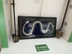 -呀诺达热带雨林