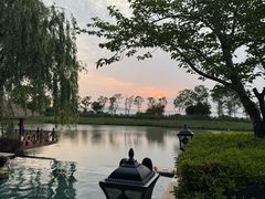 -苏州湾·王焰温泉